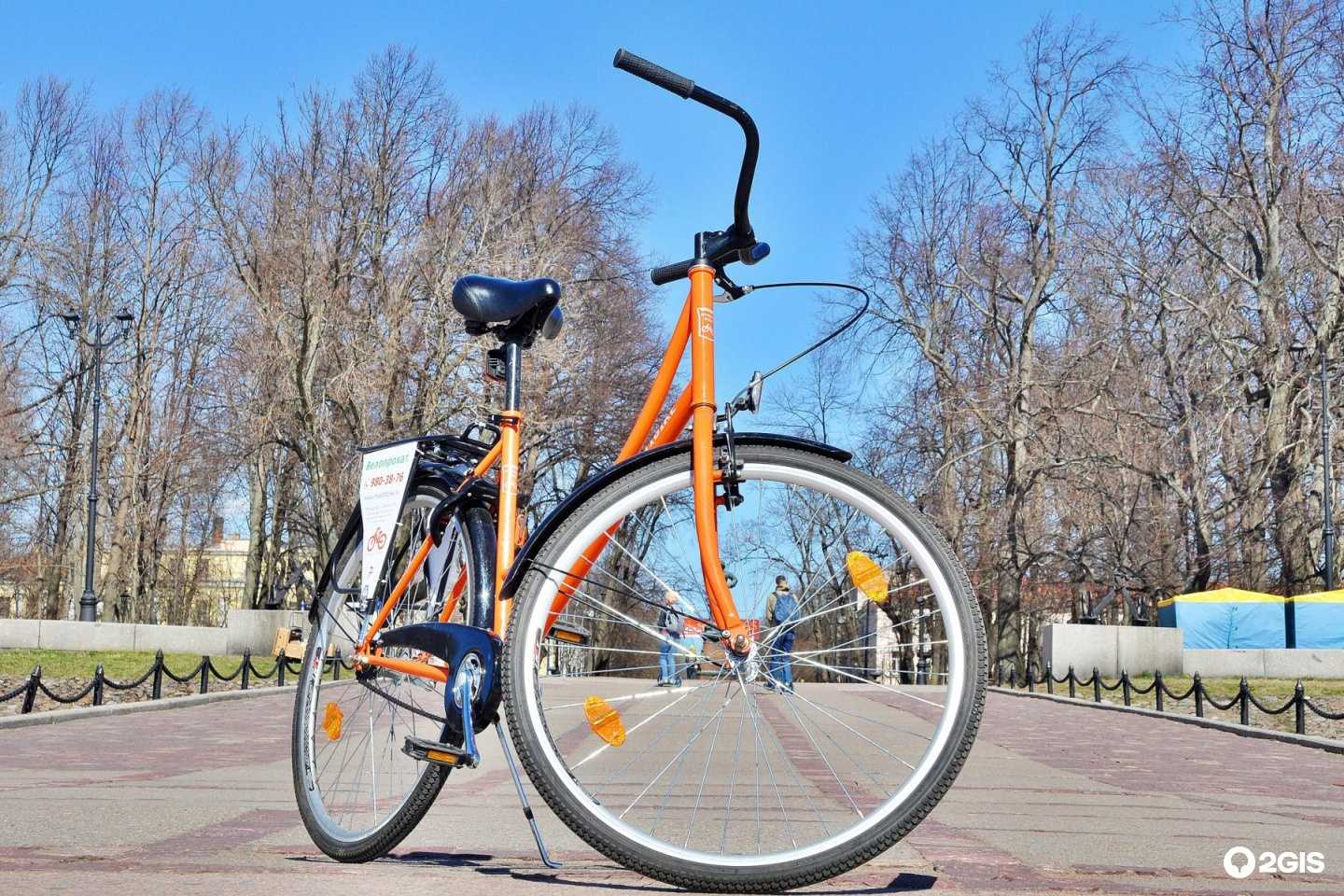 Я буду долго гнать велосипед: маршруты и инфраструктура для петербургских велолюбителей