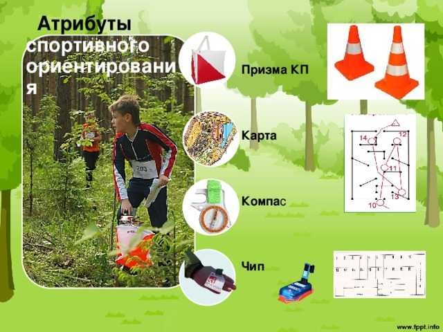 Спортивное ориентирование: история, виды, экипировка, карты