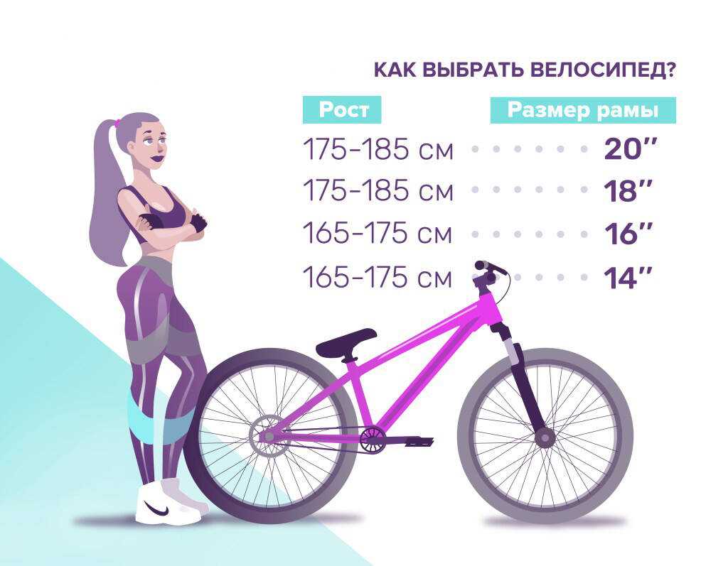 Как выбрать велосипед для женщины: особенности конструкции и комплектации