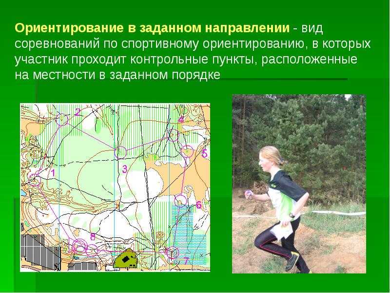 Спортивное ориентирование: история, виды, знаки на карте, дисциплины