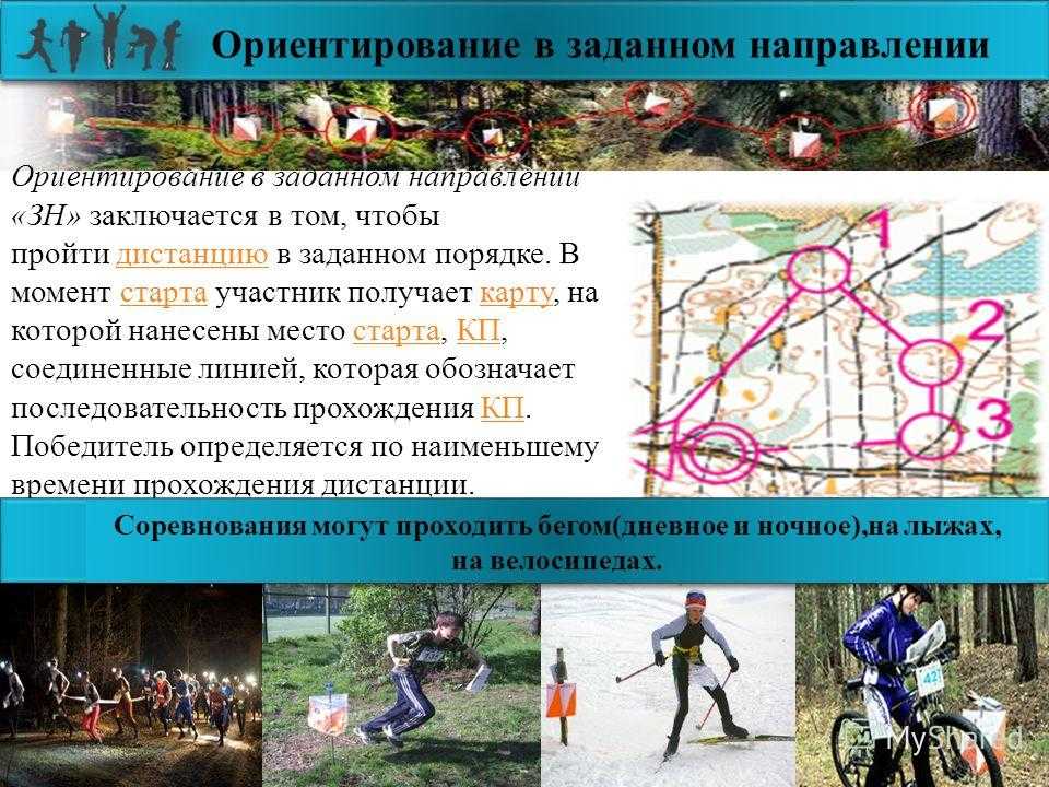Проведение соревнований по видам ориентирования