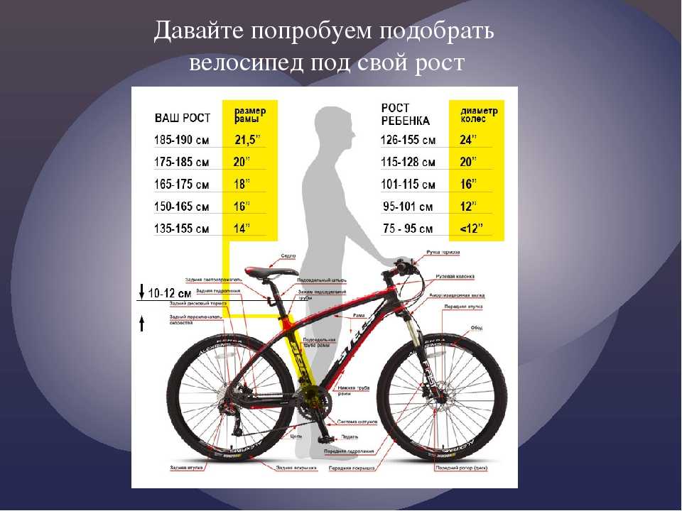 Велосипеды jamis: обзор моделей, отзывы, характеристики :: syl.ru