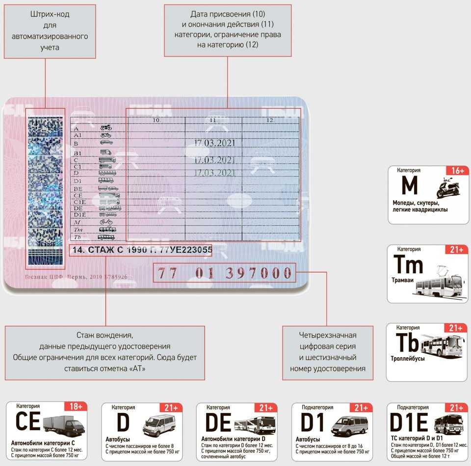 Нужны ли права на скутер или мопед в 2022 году: на какие тс не нужно водительское удостоверение