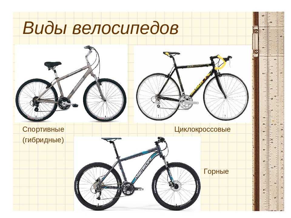 Виды велосипедов и их назначение. какие бывают велосипеды