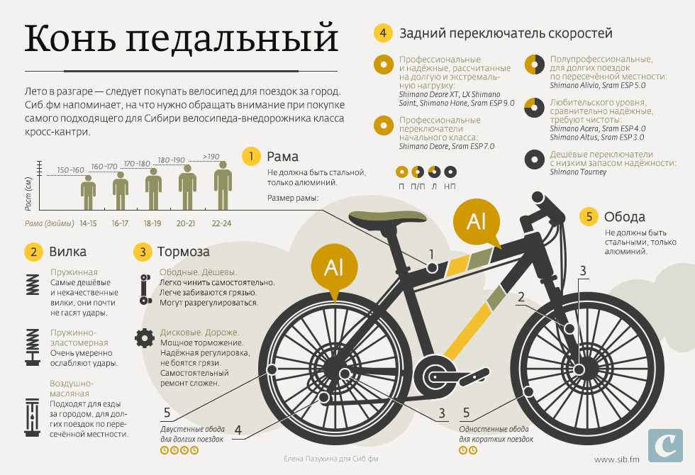 Обзор велосипедов Black One концепция производителя, модельные ряды, конструкционные особенности Характеристика популярных байков бренда