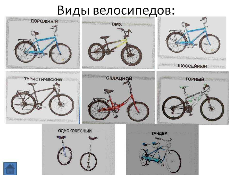 Велосипеды giant: обзор моделей, отзывы :: syl.ru