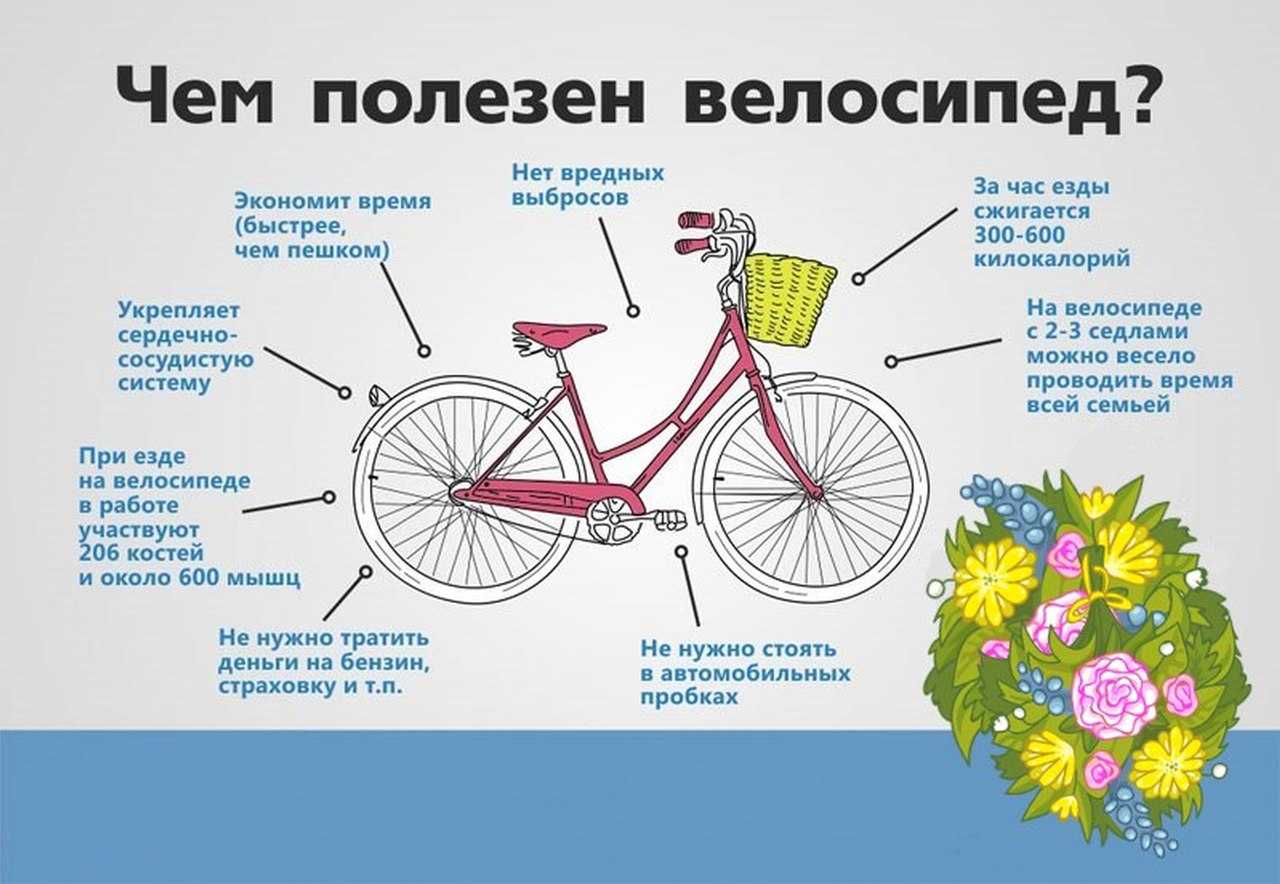 Уход за велосипедом после зимы