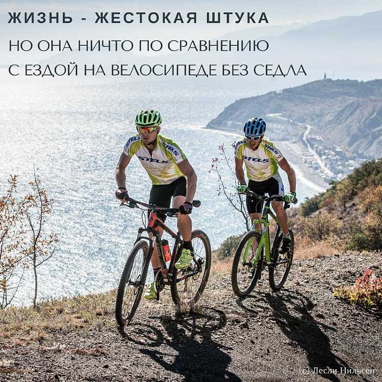 Подставка для телефона своими руками: примеры оригинальных моделей подставок