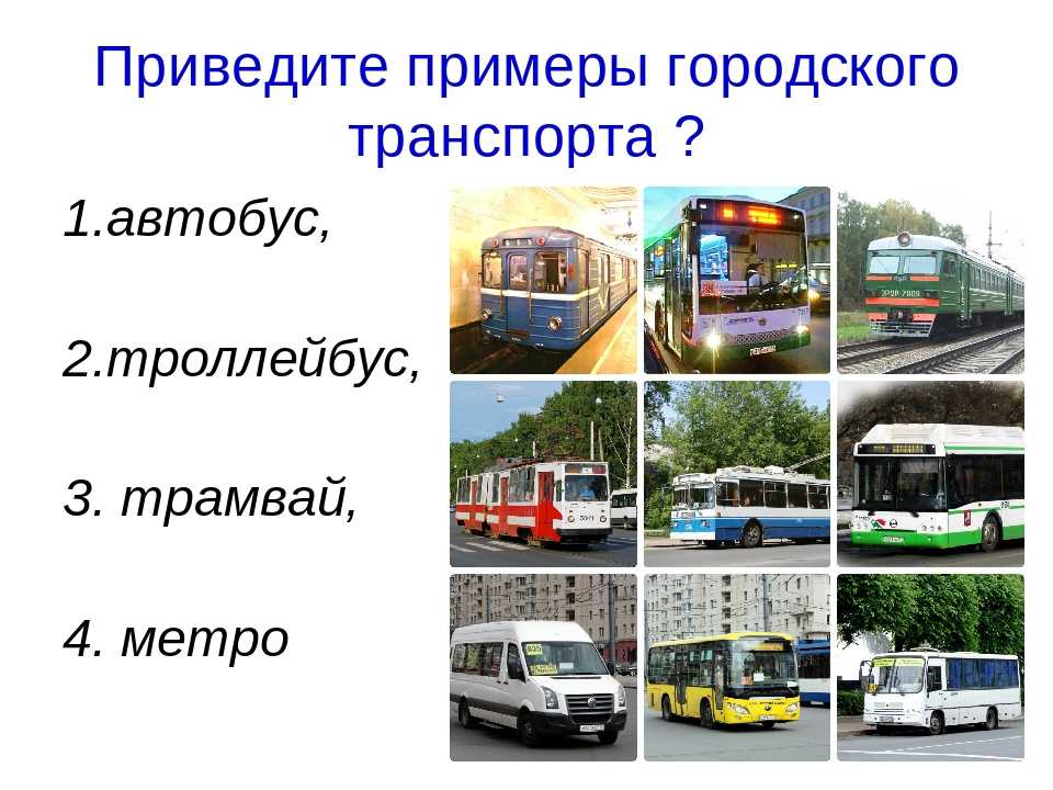 Через сколько приедет троллейбус. Виды городского транспорта. Виды общественного транспорта. Транспорт виды транспорта. Городской транспорт примеры.