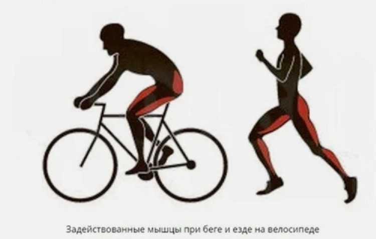 Езда на велосипеде для похудения – полезные советы
