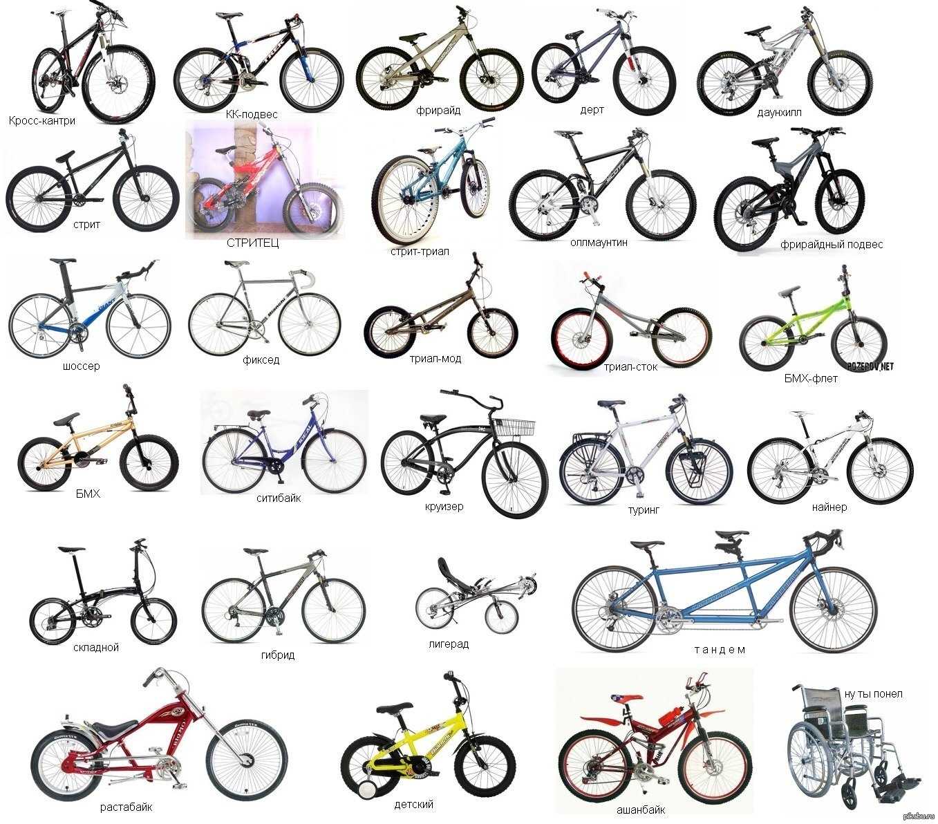 Как выбрать велосипед по назначению, полу, возрасту, тонкости и советы