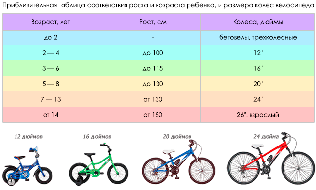 Велосипедные аксессуары: обзор дополнительного навесного оборудования