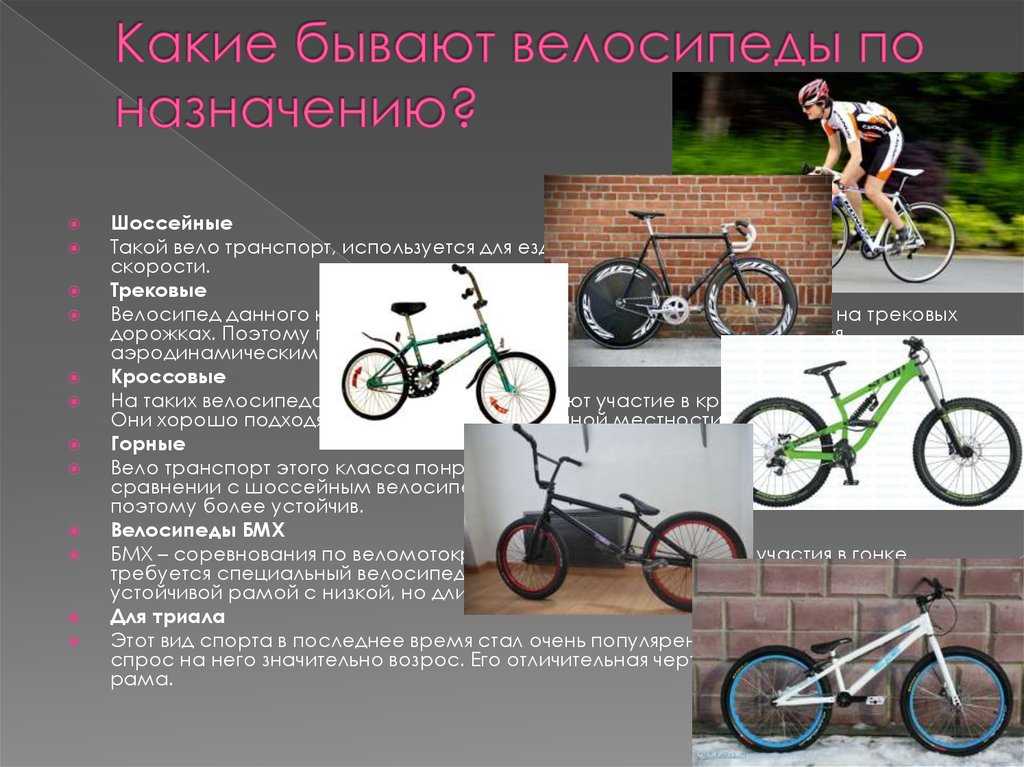 Советы при выборе велосипеда для новичков