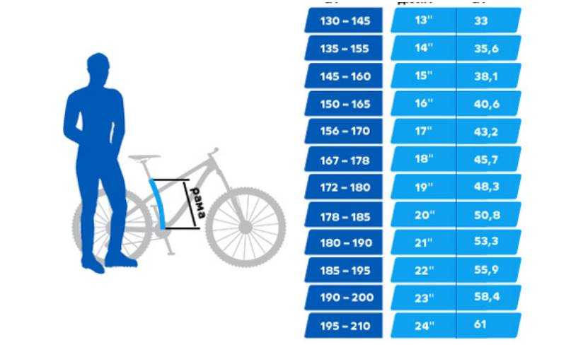 Как выбрать размер рамы велосипеда: таблица, особенности