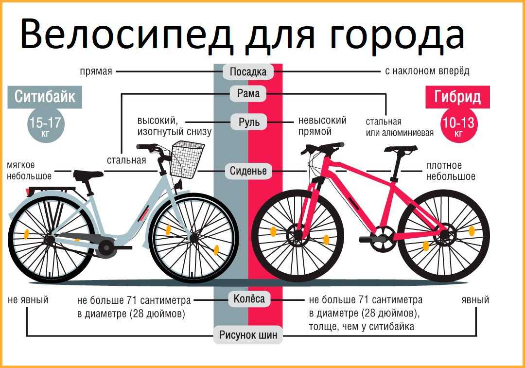 Как выбрать велосипед для мужчины по росту, весу и типу? :: syl.ru